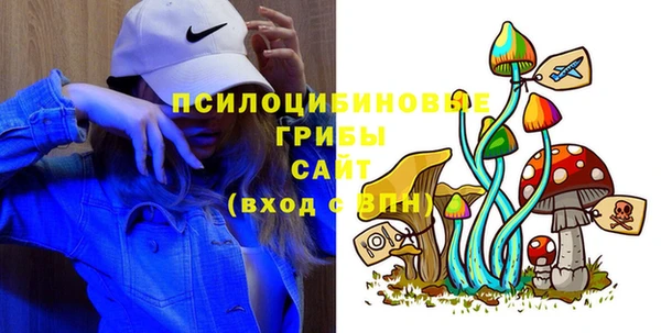 хмурый Армянск