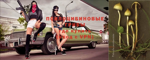 хмурый Армянск