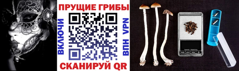 Купить  Светлогорск  Псилоцибиновые грибы мухоморы 