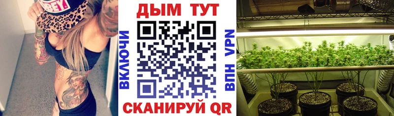 Купить закладки  Светлогорск  Шишки марихуана Bruce Banner 